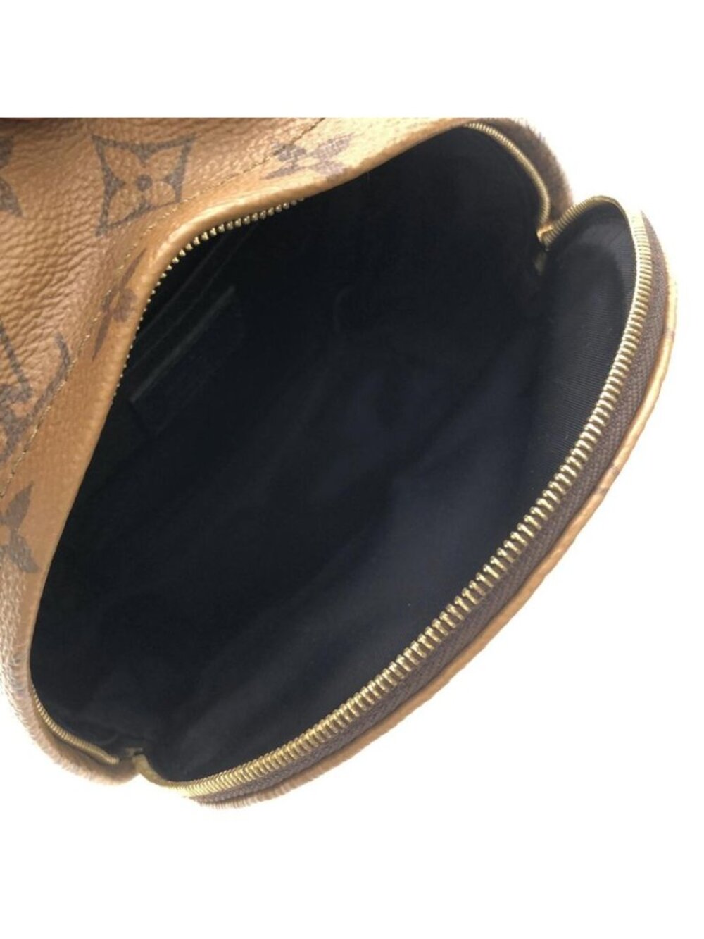 Louis Vuitton Monogram Reverse Palm Spring Backpack Mini Sac - Picture 6 of 6